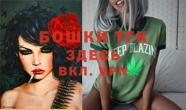 винт Инсар