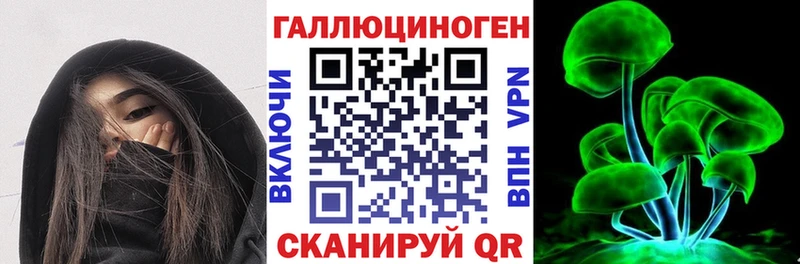 Купить где Мирный Галлюциногенные грибы Psilocybine cubensis