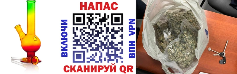 Конопля ГИДРОПОН Купить Мирный